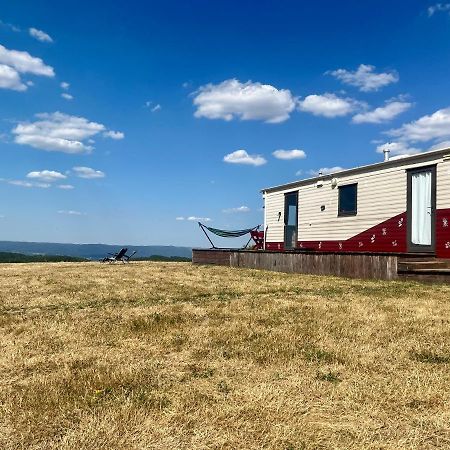 Mountaintop Panoramaview Casa In Bihor Apuseni Vadu Crisului Εξωτερικό φωτογραφία